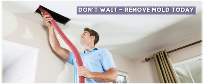 Air Duct Mold Removal in Kenosha WI